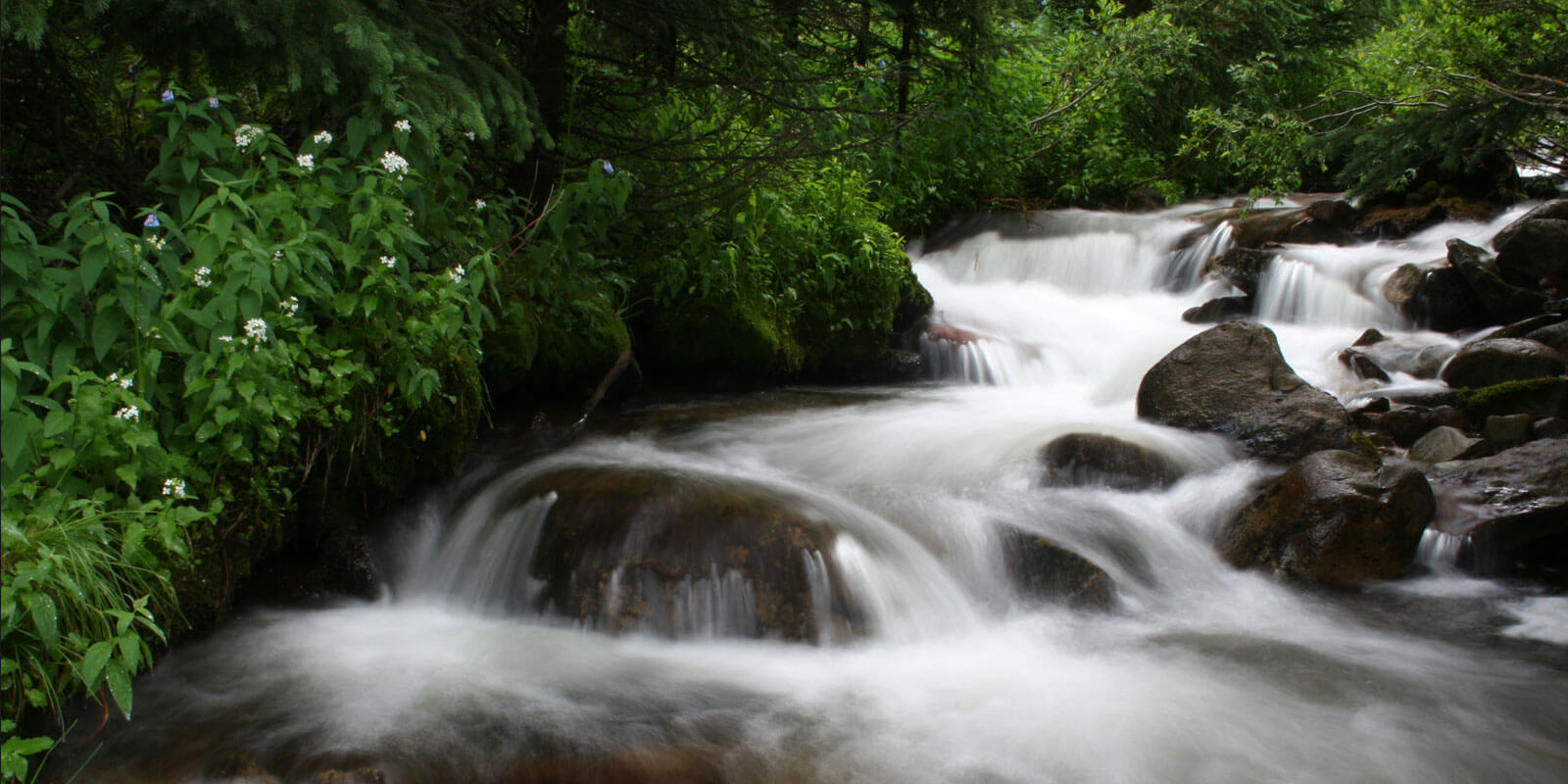 rapids/waterfalls