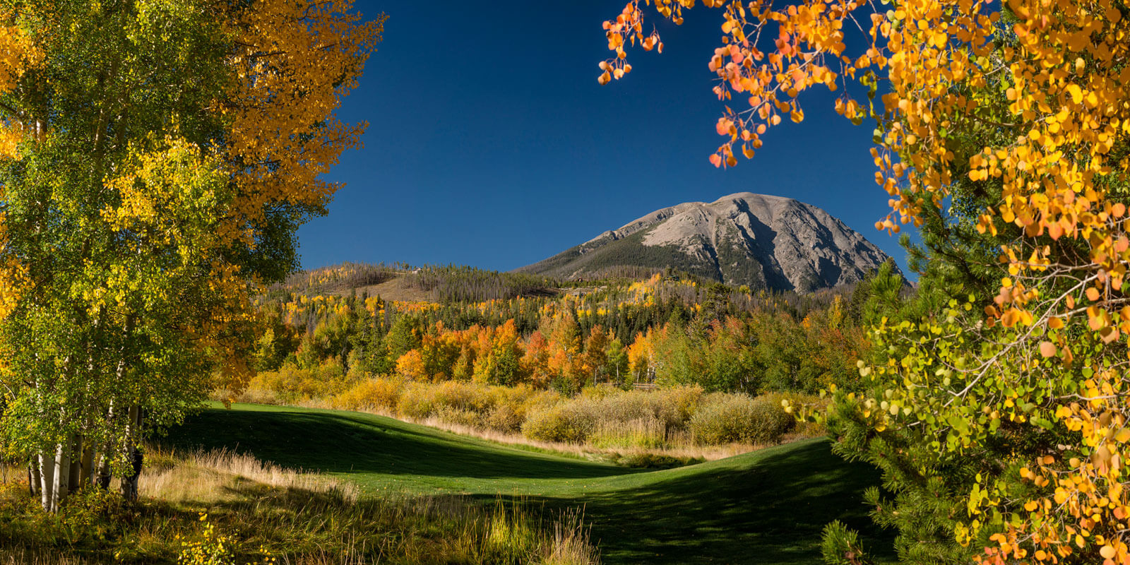 Mountain in Spring